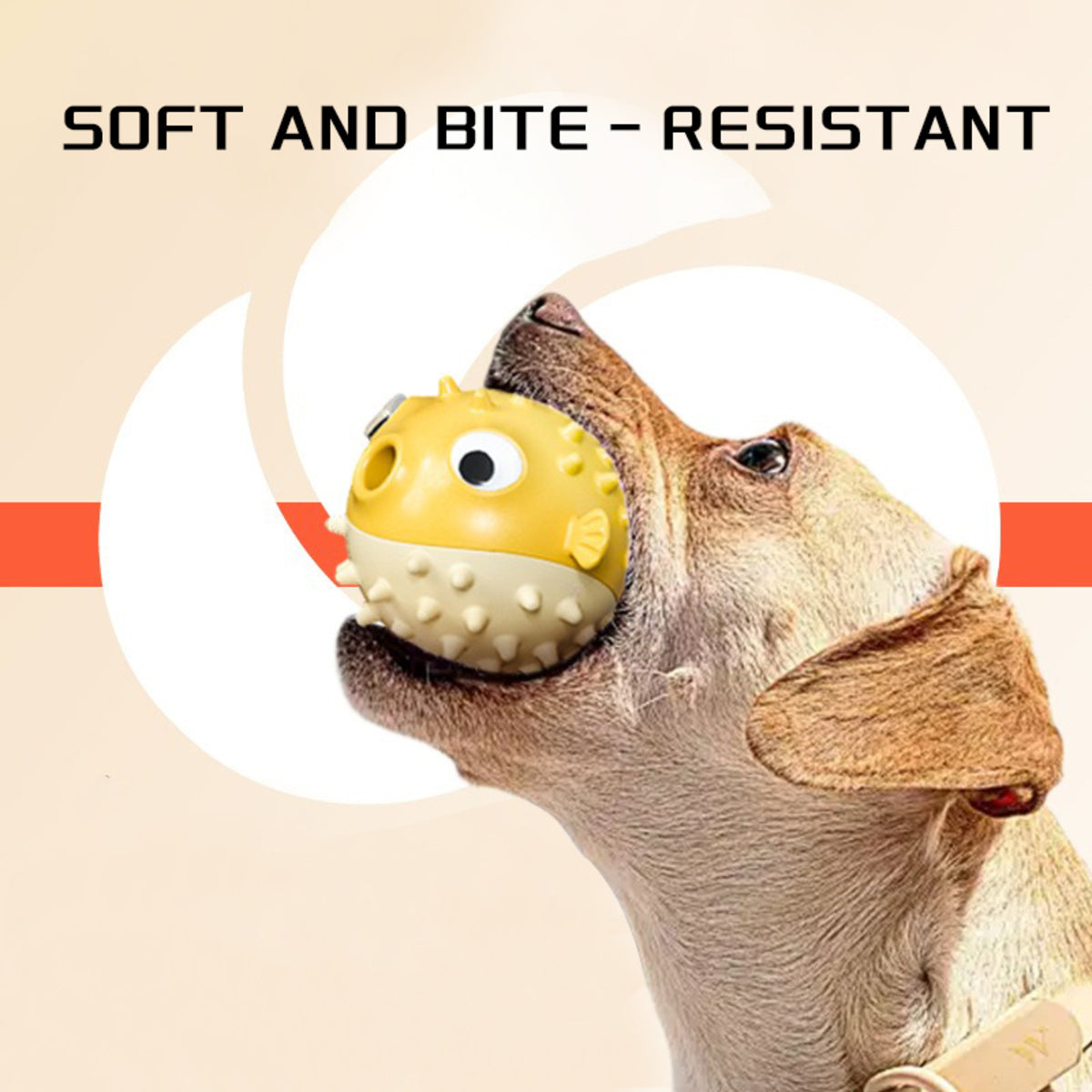 The Ultimate Fun with Dog Squeaky Toys!